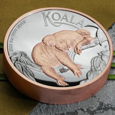 Silbermünze 5oz "Koala" 2022 (PP/HR/vergoldet) (Australien) - Miniaturansicht 5