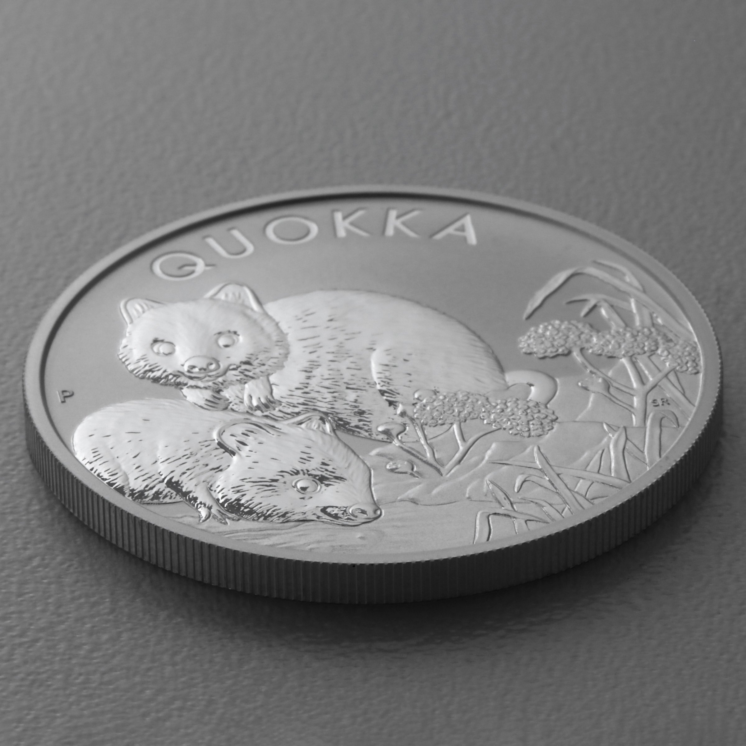 Silbermünze 1oz "Quokka" 2022 19% (Australien) - Detailansicht 2
