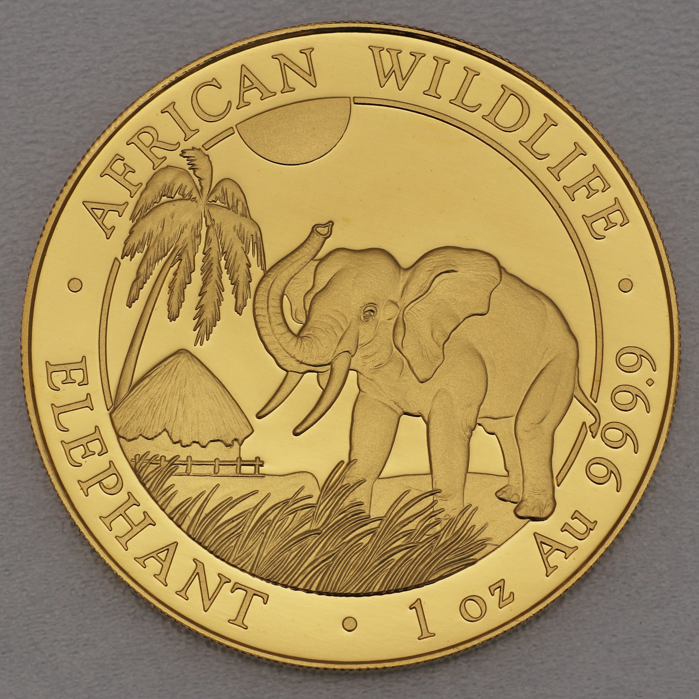 Goldmünze 1oz "Elefant" 2017 African Wildlife (Somalia) - Hauptansicht