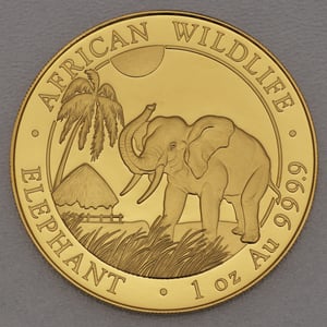 Goldmünze 1oz "Elefant" 2017 African Wildlife (Somalia) - Hauptansicht