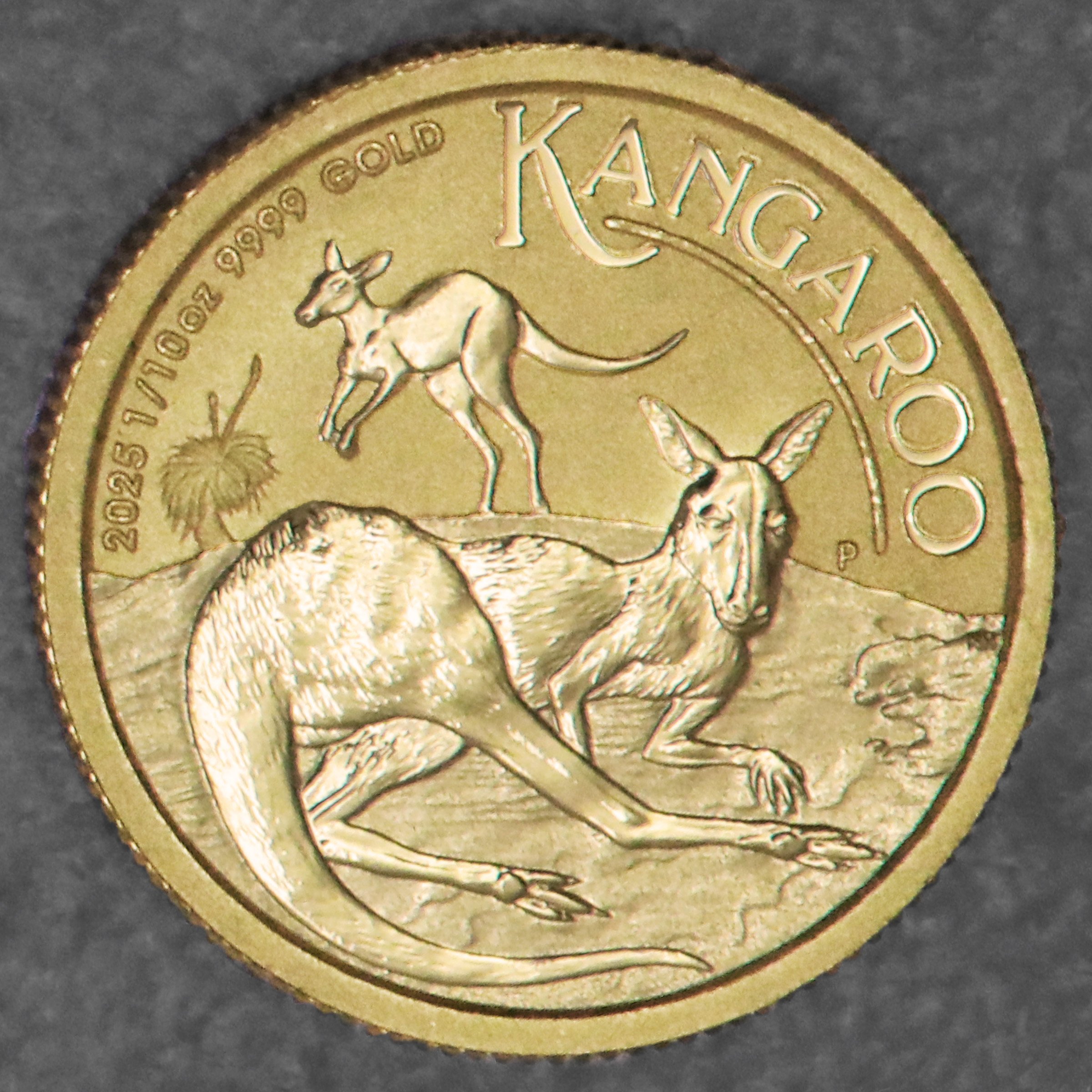 Goldmünze 1/10oz "Känguru" 2025 (Australien) - Hauptansicht