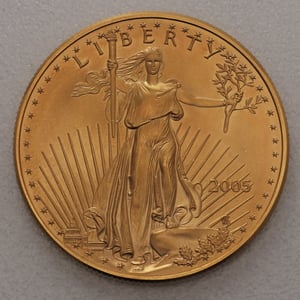 Goldmünze 1oz "American Eagle" 2005 (USA) - Hauptansicht