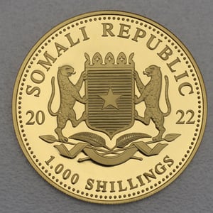 Goldmünze 1oz "Leopard" 2022 African Wildlife (Somalia) - Miniaturansicht 2