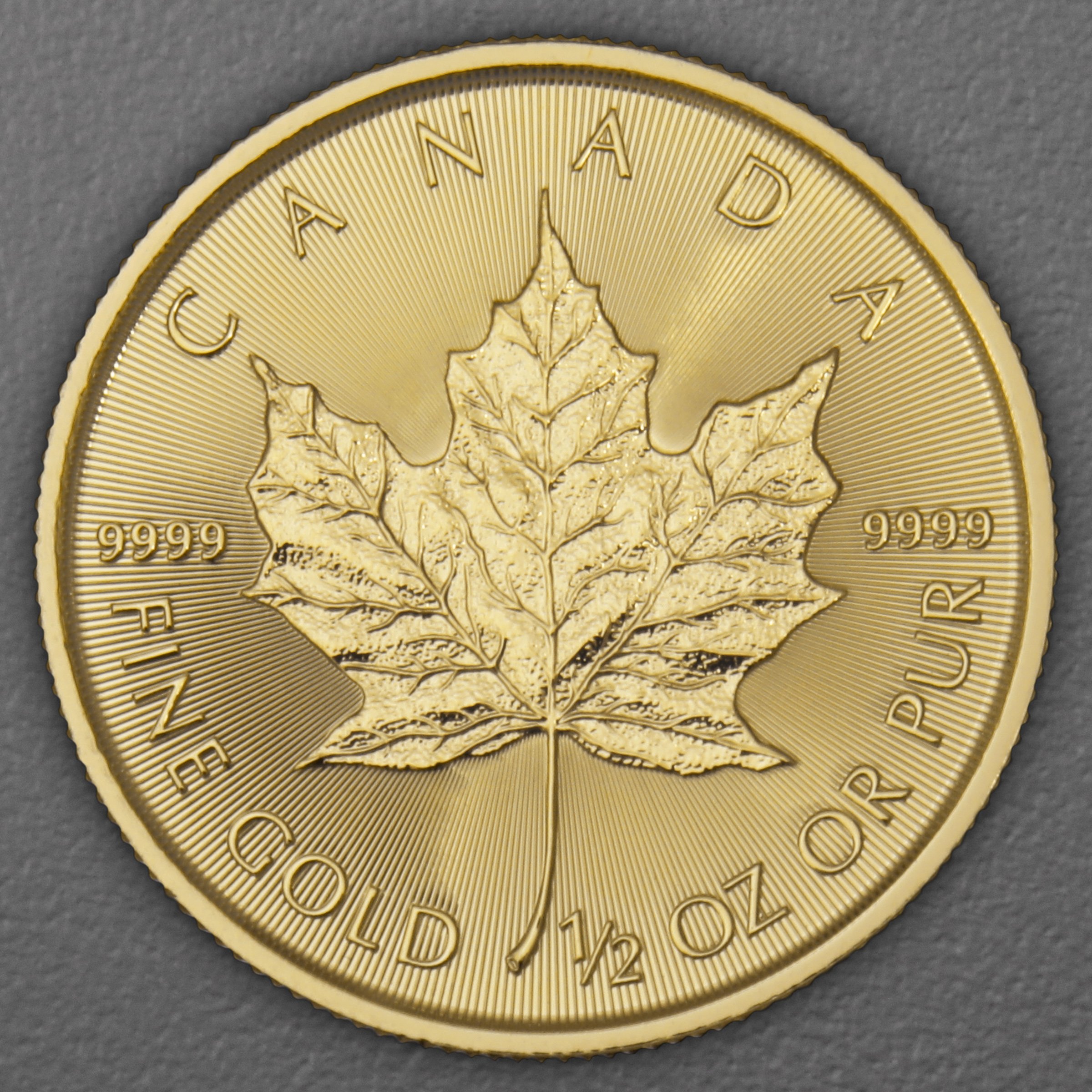 Goldmünze 1/2oz "Maple Leaf" aktueller Jahrgang (Kanada) - Hauptansicht