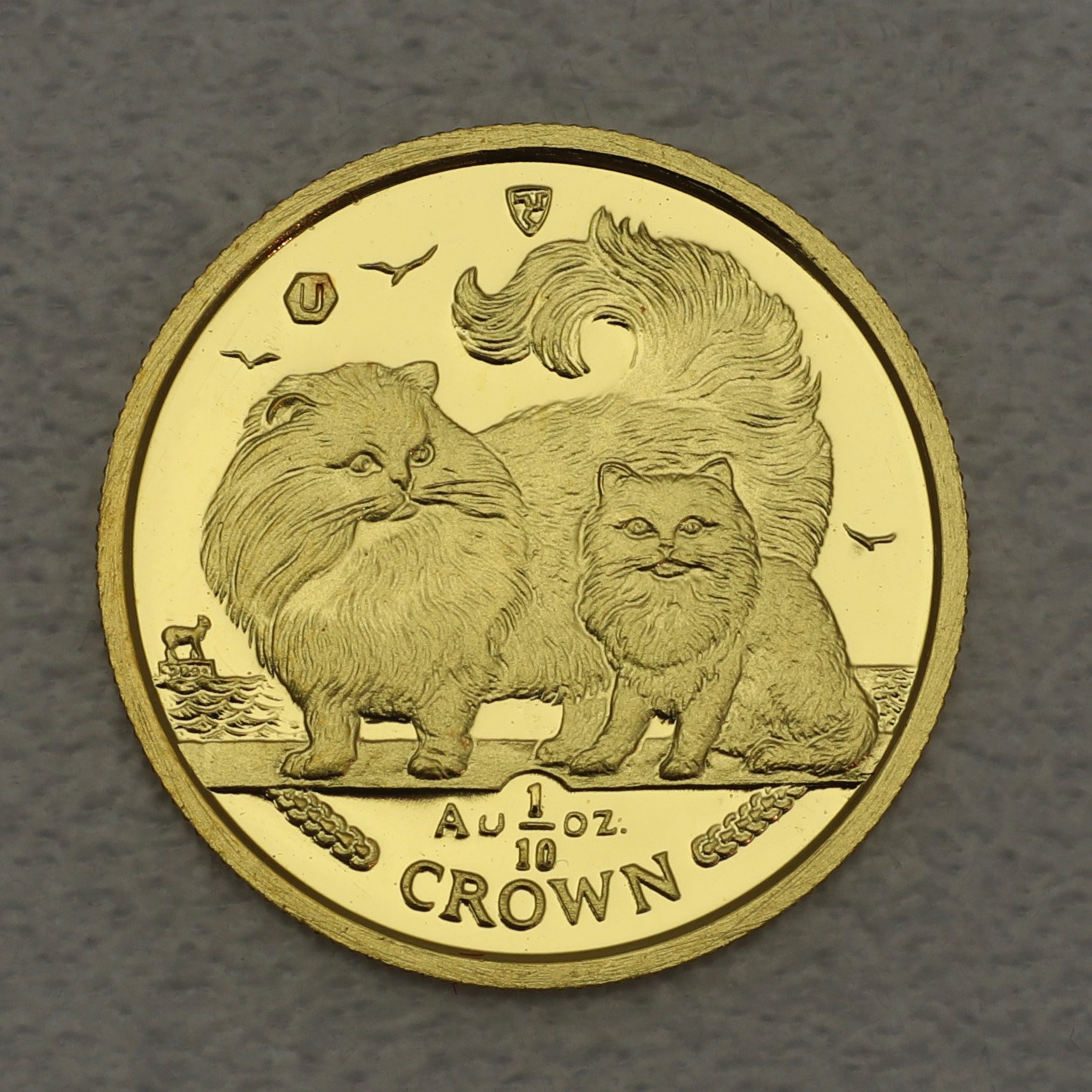 Goldmünze 1/10oz "Chinchilla Cat" 2009 Cats (Isle of Man) - Hauptansicht