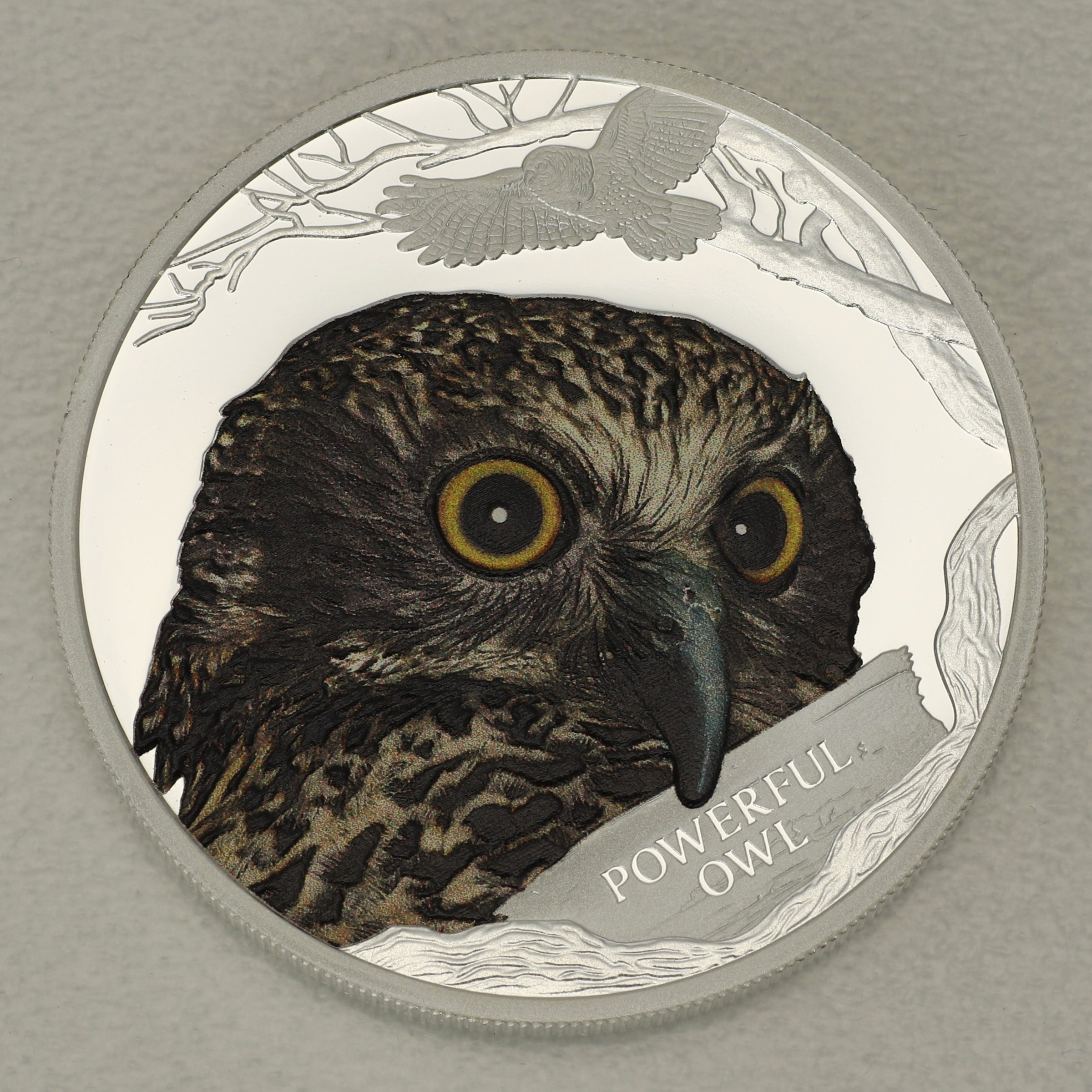 Silbermünze 1oz "Powerful Owl" 2018 Australias Endangered + Extinct (Tuvalu) - Hauptansicht