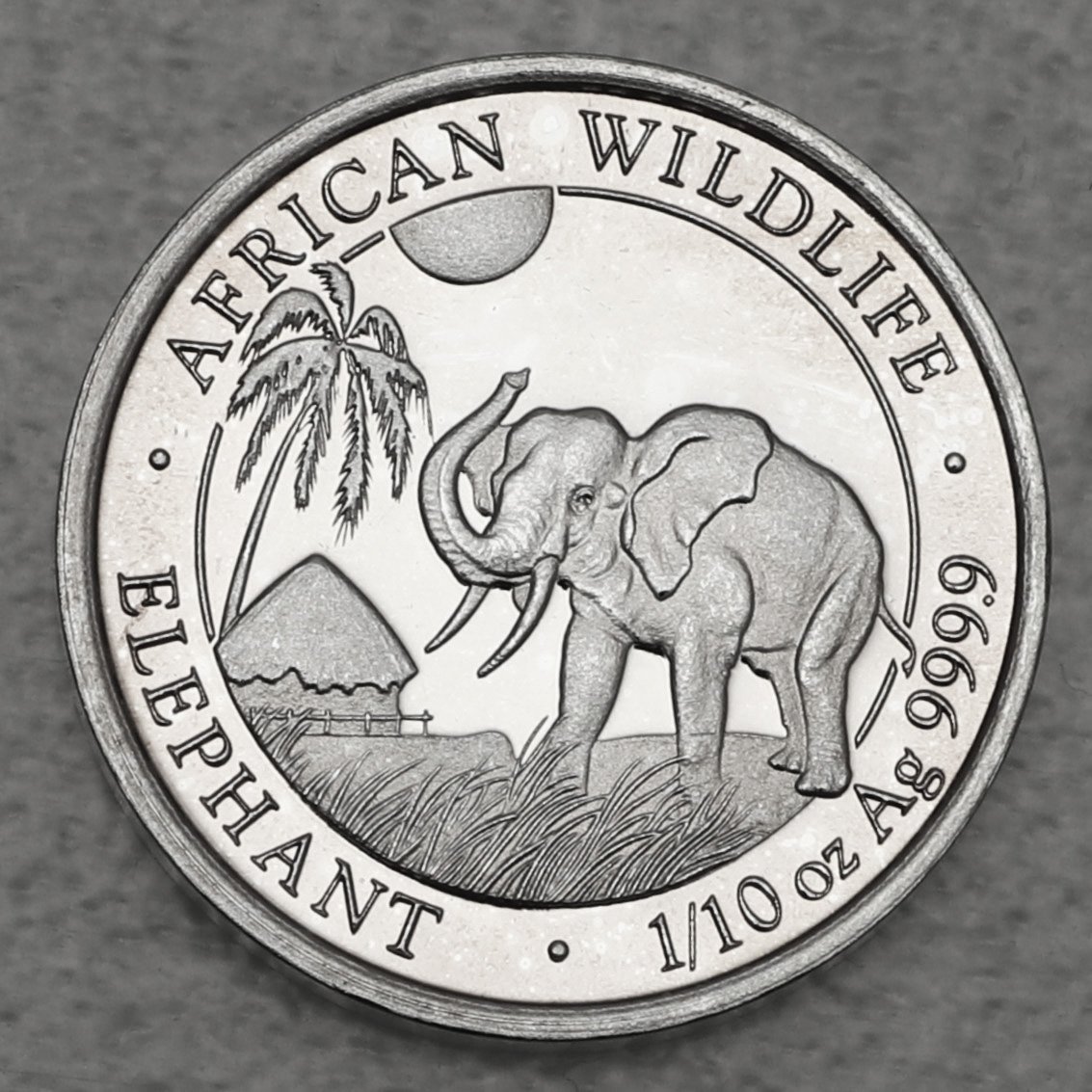 Silbermünze 1/10oz "Elefant" 2017 African Wildlife (Somalia) - Hauptansicht