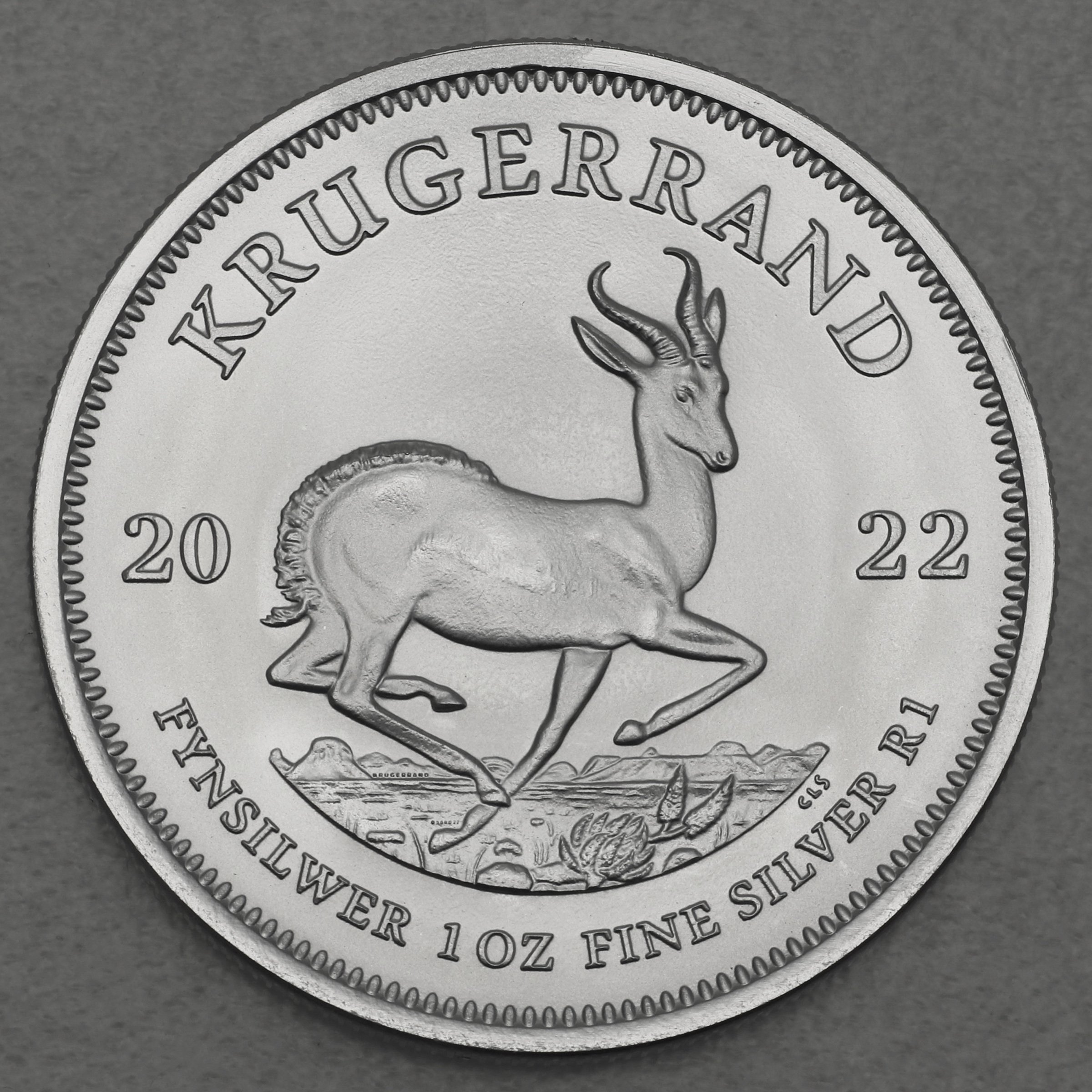 Silbermünze 1oz "Krügerrand" versch. Jahrgänge (Südafrika) diff. - Detailansicht 1