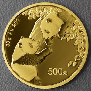 Goldmünze 30g "Panda" 2023 (China) - Hauptansicht