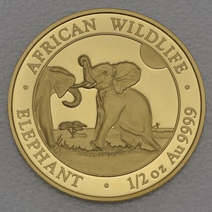 Goldmünze 1/2oz "Elefant" 2024 African Wildlife (Somalia) - Hauptansicht