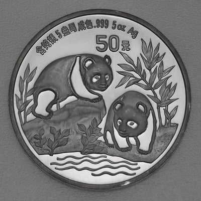 Silbermünze 5oz "Panda" 1991 (China) - Miniaturansicht 1