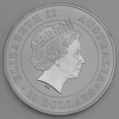 Silbermünze 1kg "Koala" 2013 (Australien) - Miniaturansicht 2