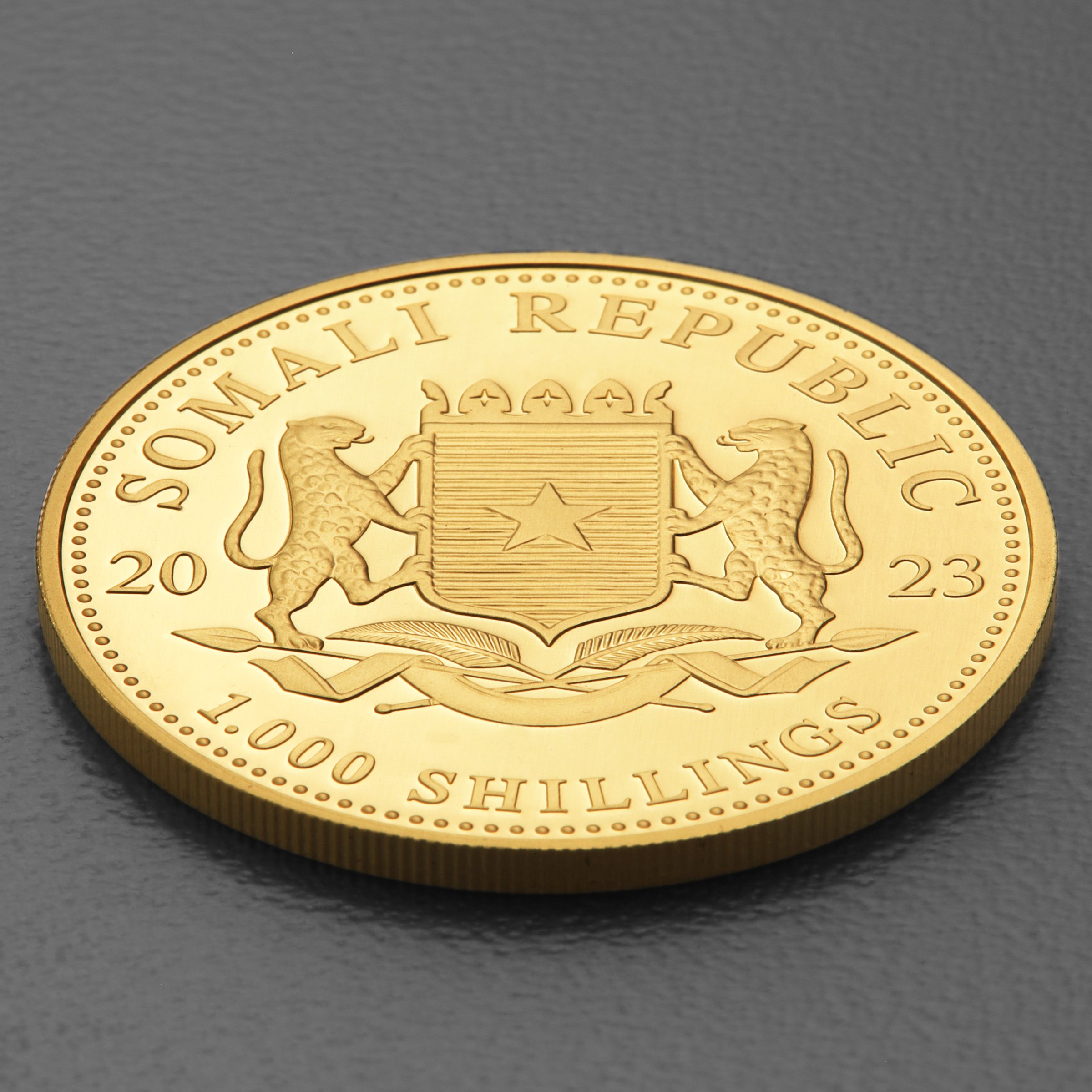 Goldmünze 1oz "Leopard" 2023 African Wildlife (Somalia) - Detailansicht 3