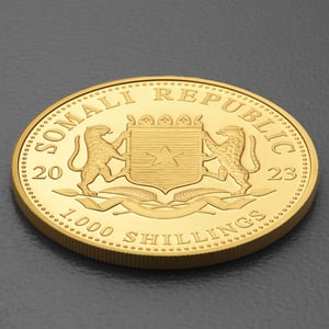 Goldmünze 1oz "Leopard" 2023 African Wildlife (Somalia) - Miniaturansicht 4
