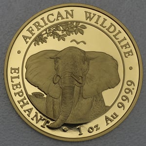Goldmünze 1oz "Elefant" 2021 African Wildlife (Somalia) - Hauptansicht