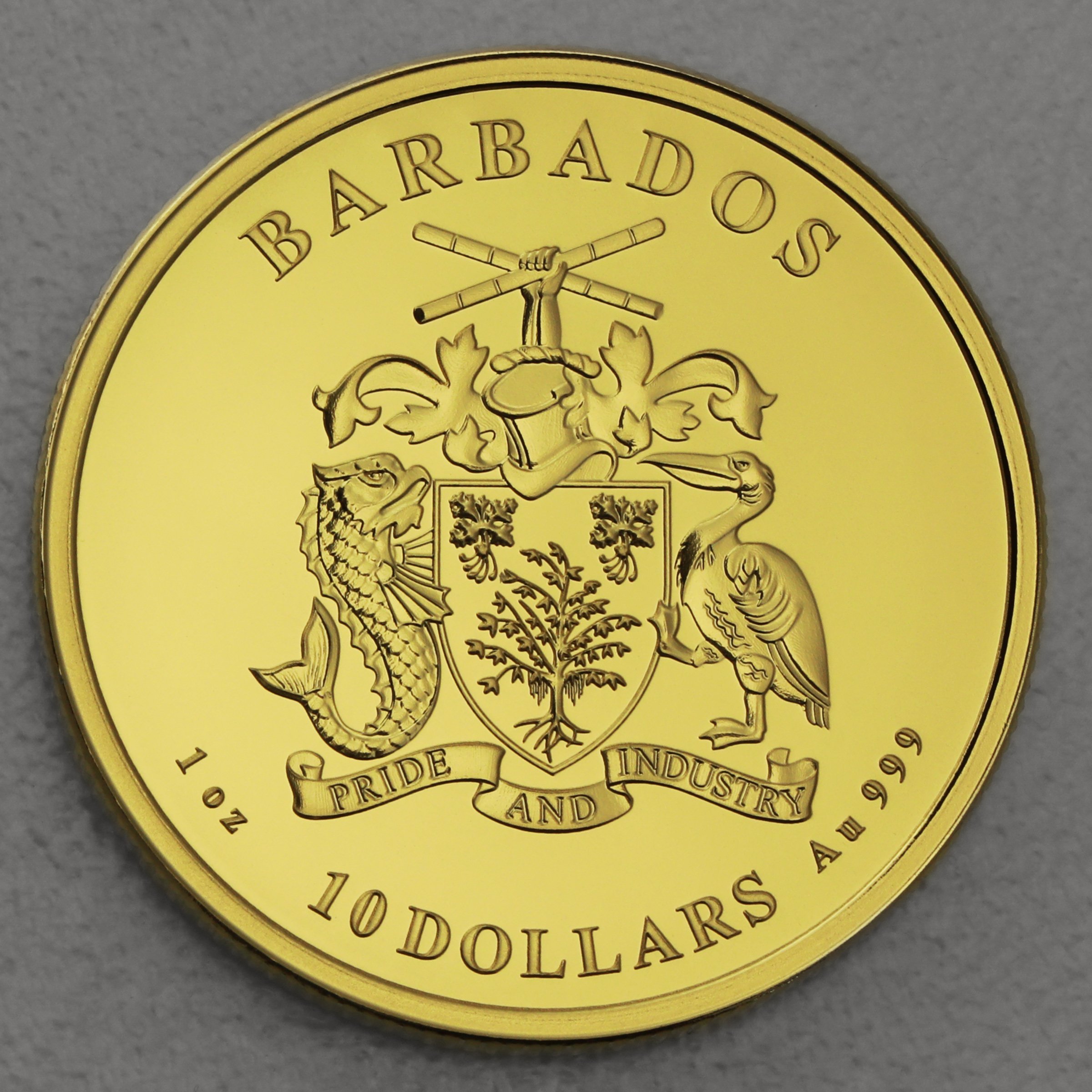 Goldmünze 1oz "Octopus" 2021 Caribbean Gold (Barbados) - Detailansicht 1