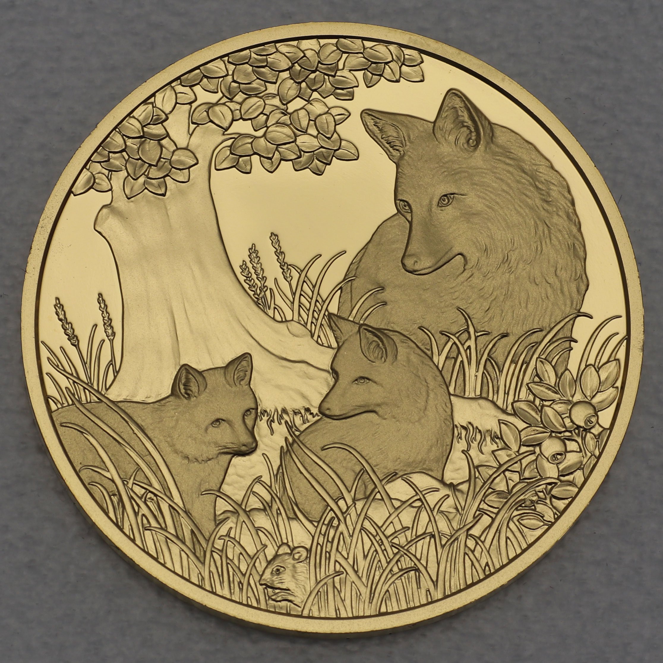 Goldmünze 100 Euro "Fuchs" 2016 Unseren Wildtieren auf der Spur (Österreich) - Detailansicht 1