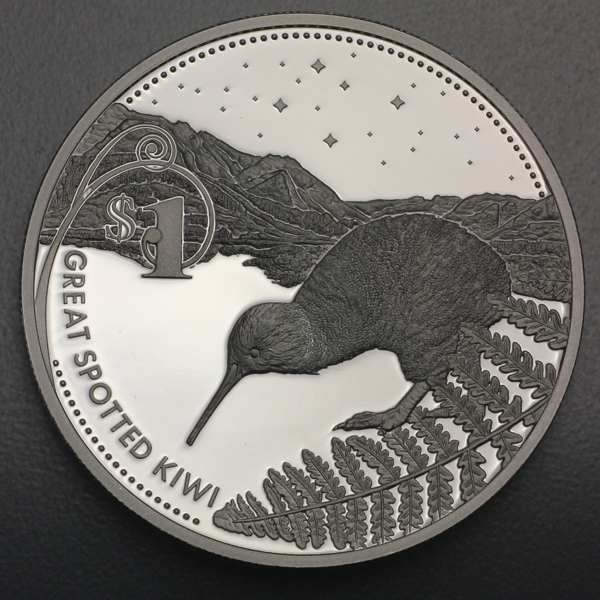 Silbermünze 1oz "Kiwi" 2007 (Neuseeland) - Hauptansicht