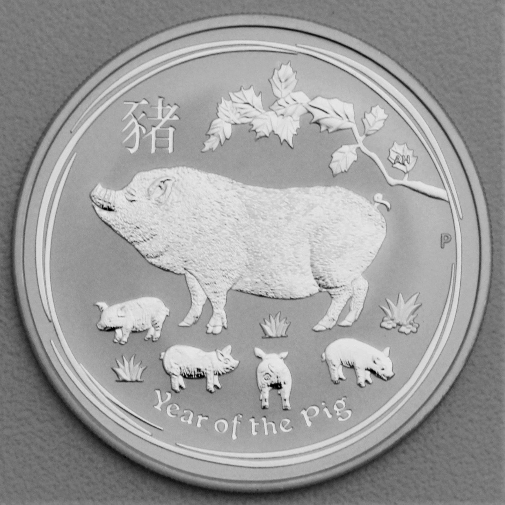 Silbermünze 1oz "Schwein" 2019 Lunar II – Year of the Pig (Australien) - Hauptansicht