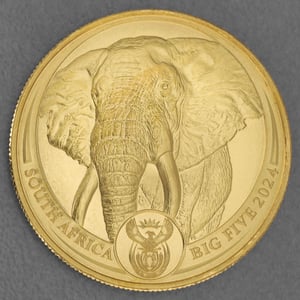 Goldmünze 1oz "Elefant" 2024 Big Five II (Südafrika) - Hauptansicht