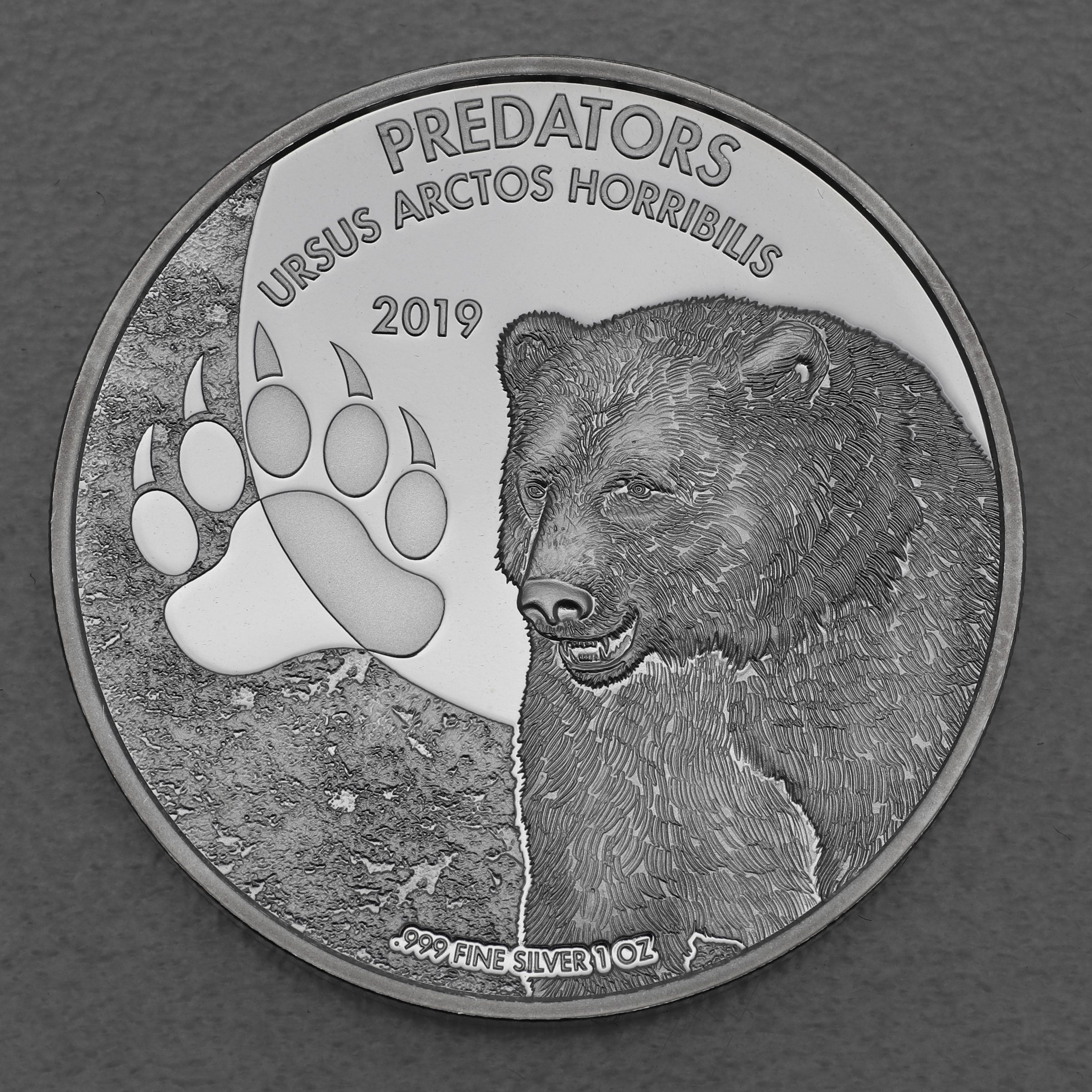 Silbermünze 1oz "Braunbär" 2019 Predators (Kongo) - Hauptansicht