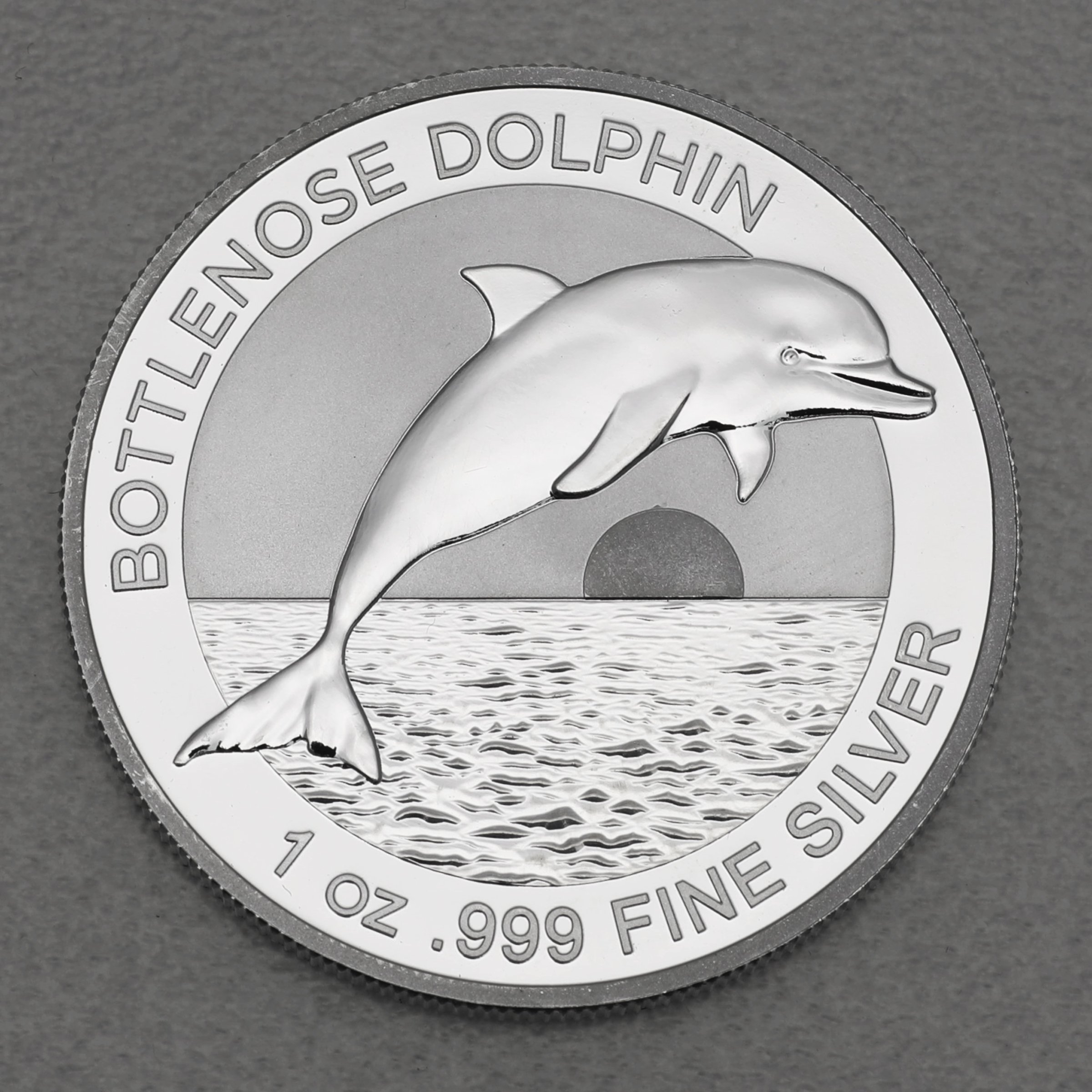 Silbermünze 1oz "Bottlenose Dolphin" 2019 (Australien) - Hauptansicht
