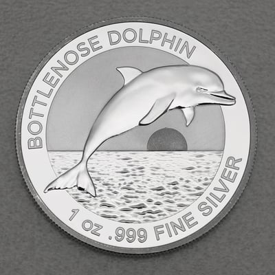 Silbermünze 1oz "Bottlenose Dolphin" 2019 (Australien) - Miniaturansicht 1