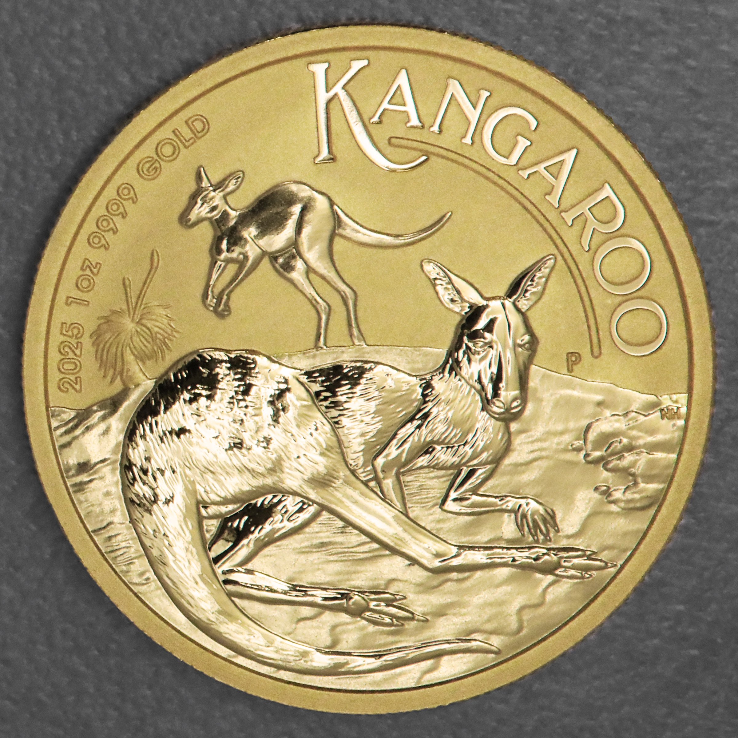Goldmünze 1oz "Känguru" 2025 (Australien) - Hauptansicht