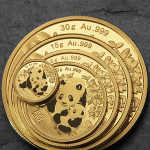 Goldmünze 8g "Panda" 2024 (China) - Miniaturansicht 5