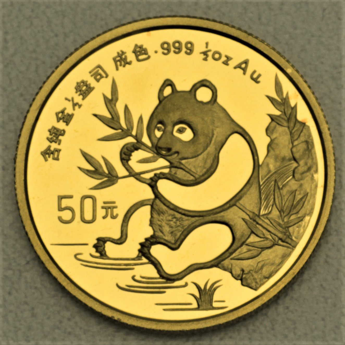 Goldmünze 1/2oz "Panda" 1991 (China) - Hauptansicht