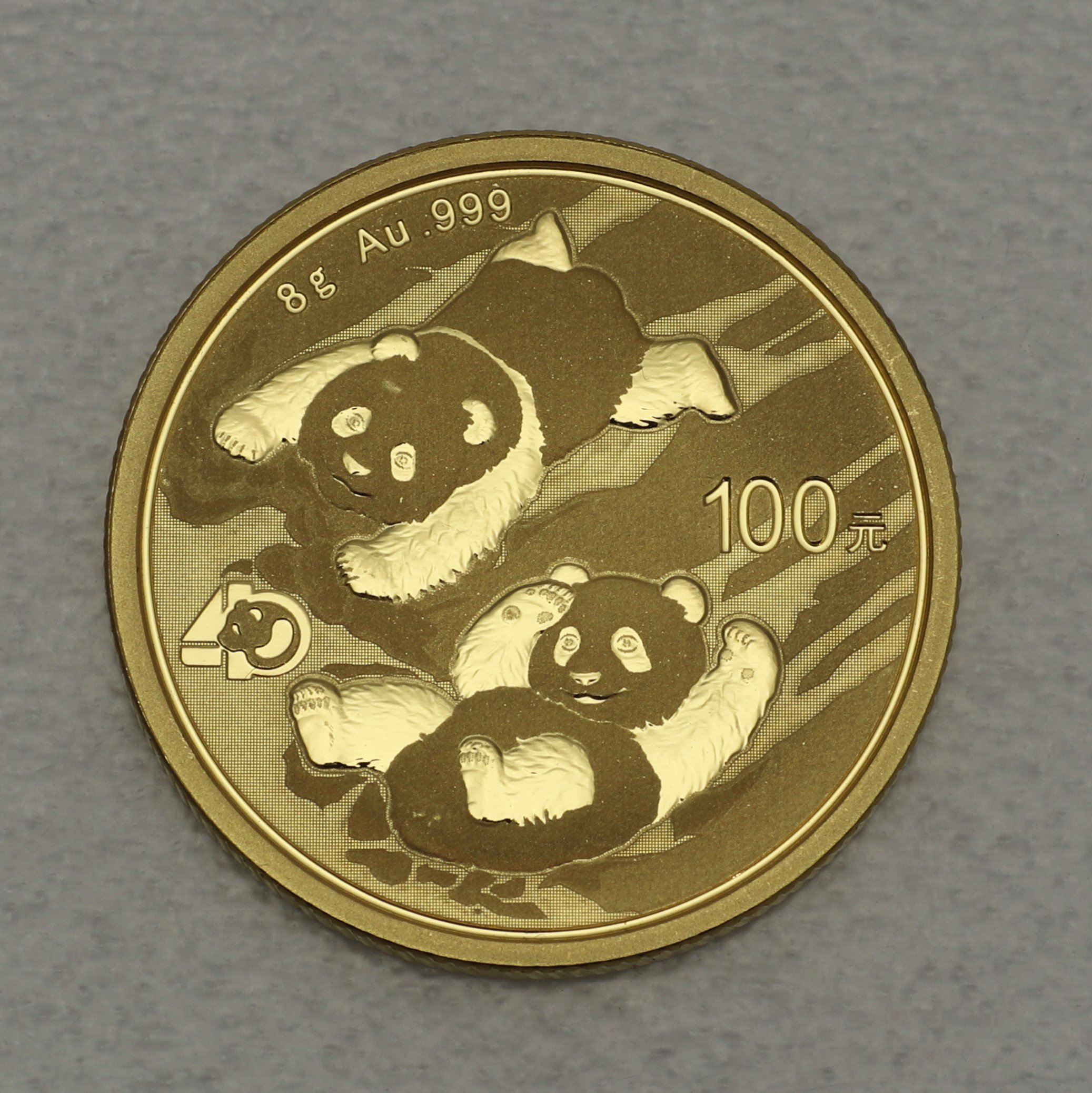 Goldmünze 8g "Panda" 2022 (China) - Hauptansicht