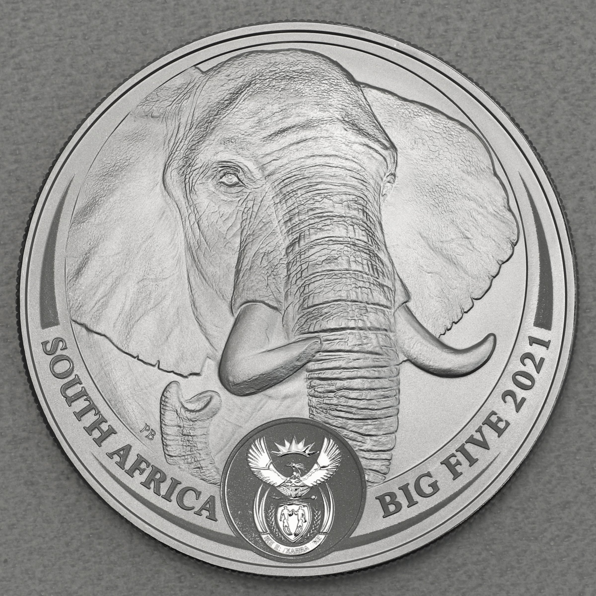 Silbermünze 1oz "Elefant" 2021 Big Five II (Südafrika) - Hauptansicht