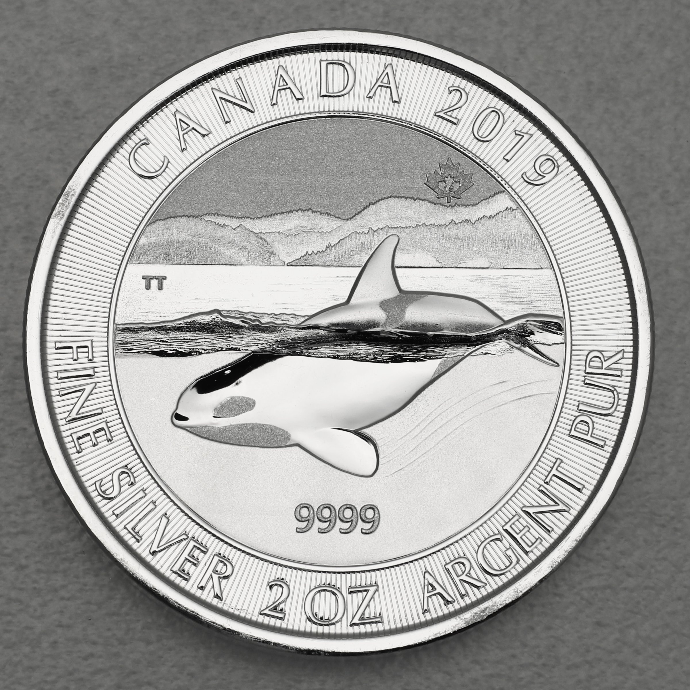 Silbermünze 2oz "Orca" 2019 (Kanada) - Hauptansicht