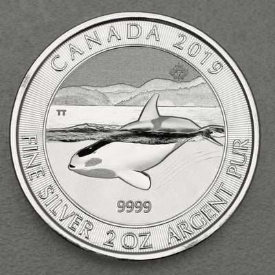 Silbermünze 2oz "Orca" 2019 (Kanada) - Miniaturansicht 1