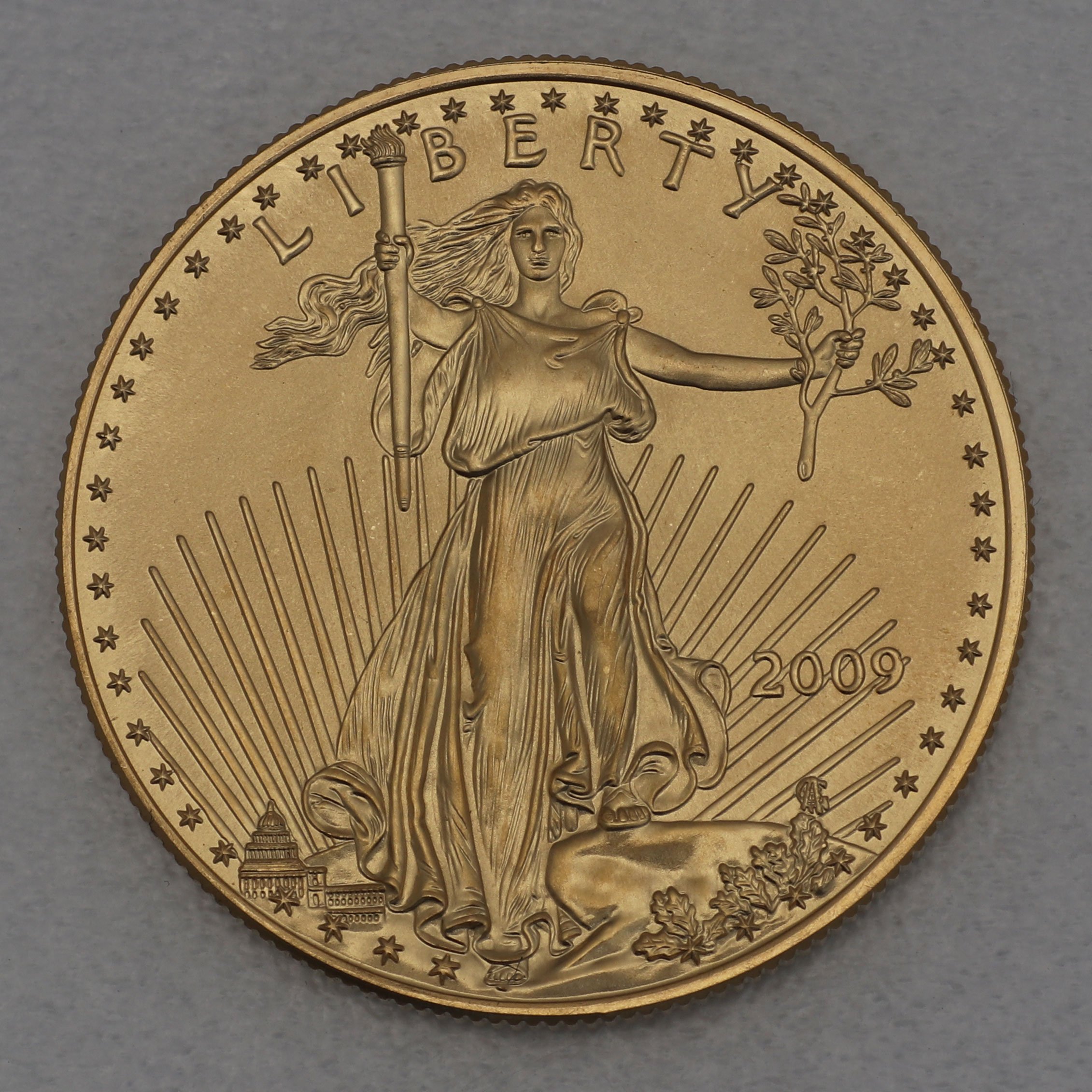 Goldmünze 1oz "American Eagle" 2009 (USA) - Hauptansicht