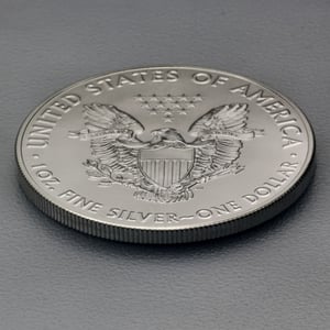 Silbermünze 1oz "American Eagle" verschiedene Jahrgänge diff. (USA) - Miniaturansicht 3