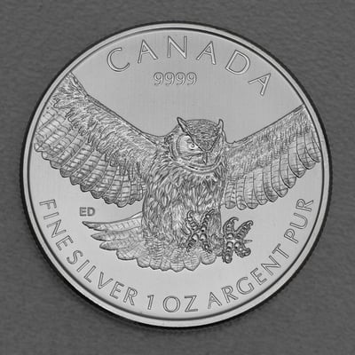 Silbermünze 1oz "Great Horned Owl" 2015 Birds of Prey (Kanada) - Hauptansicht