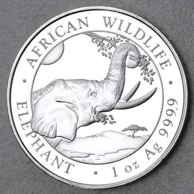 Silbermünze 1oz "Elefant" 2023 African Wildlife diff. (Somalia) - Hauptansicht