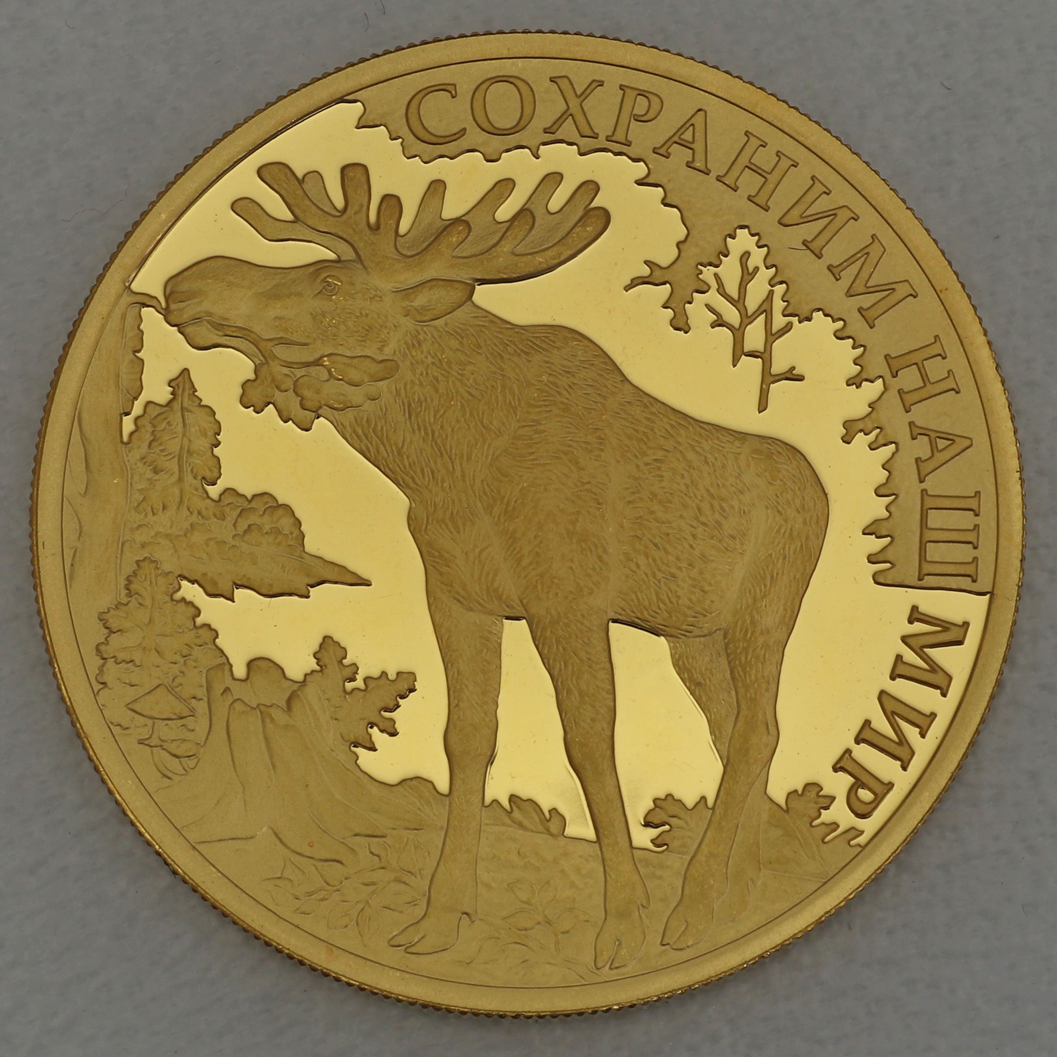 Goldmünze 100 Rubel "Elch" 2015 Protect our World (Russland) - Hauptansicht