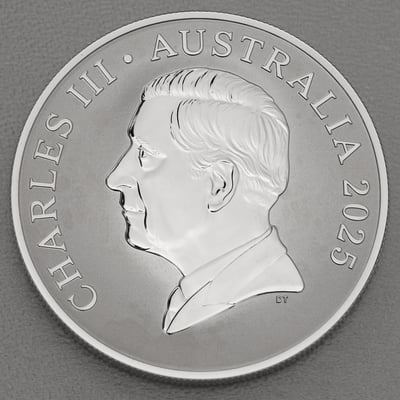 Silbermünze 1oz "Känguru" 2025 Bush Capital - Royal Australian Mint (Australien) - Miniaturansicht 2