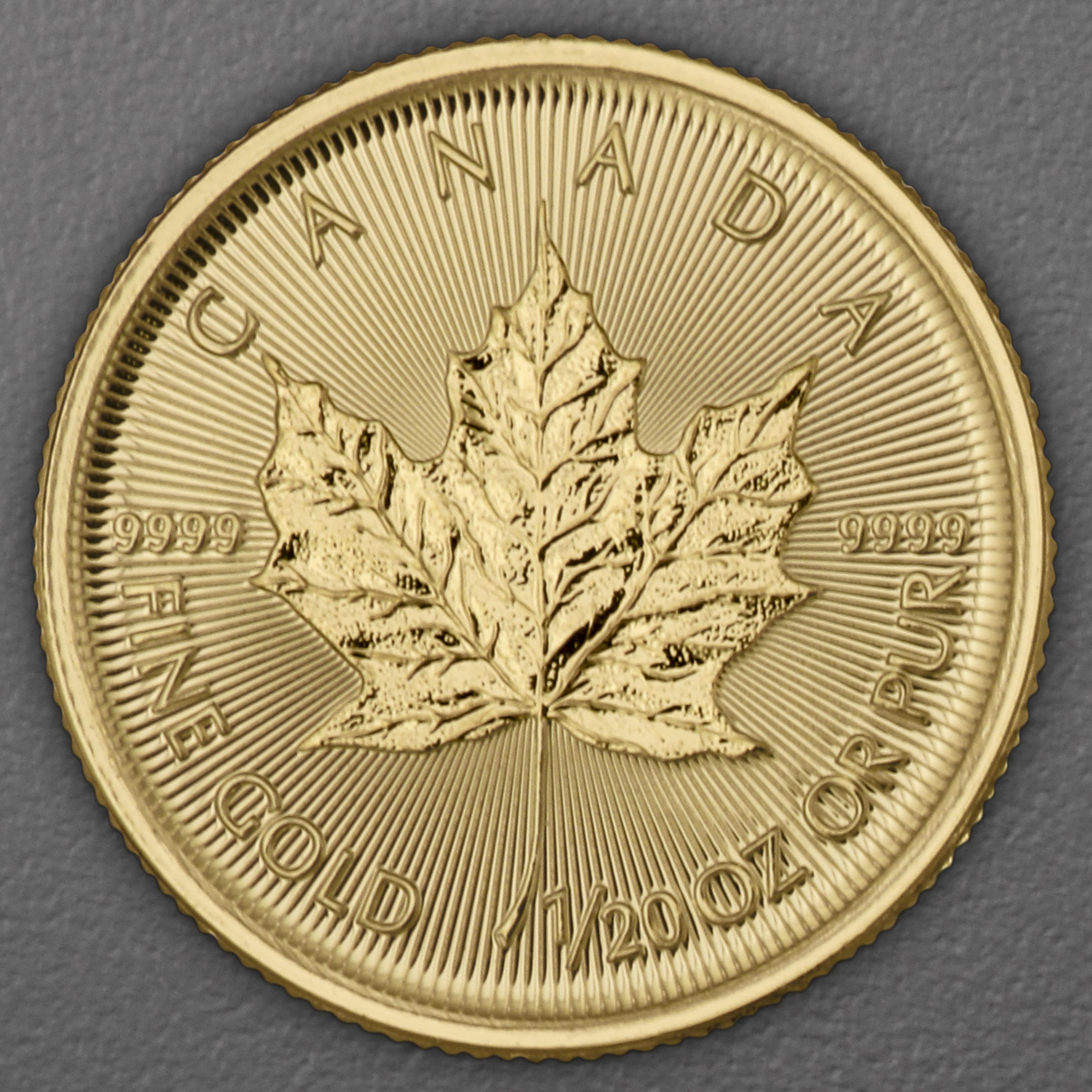 Goldmünze 1/20oz "Maple Leaf" aktueller Jahrgang (Kanada) - Hauptansicht