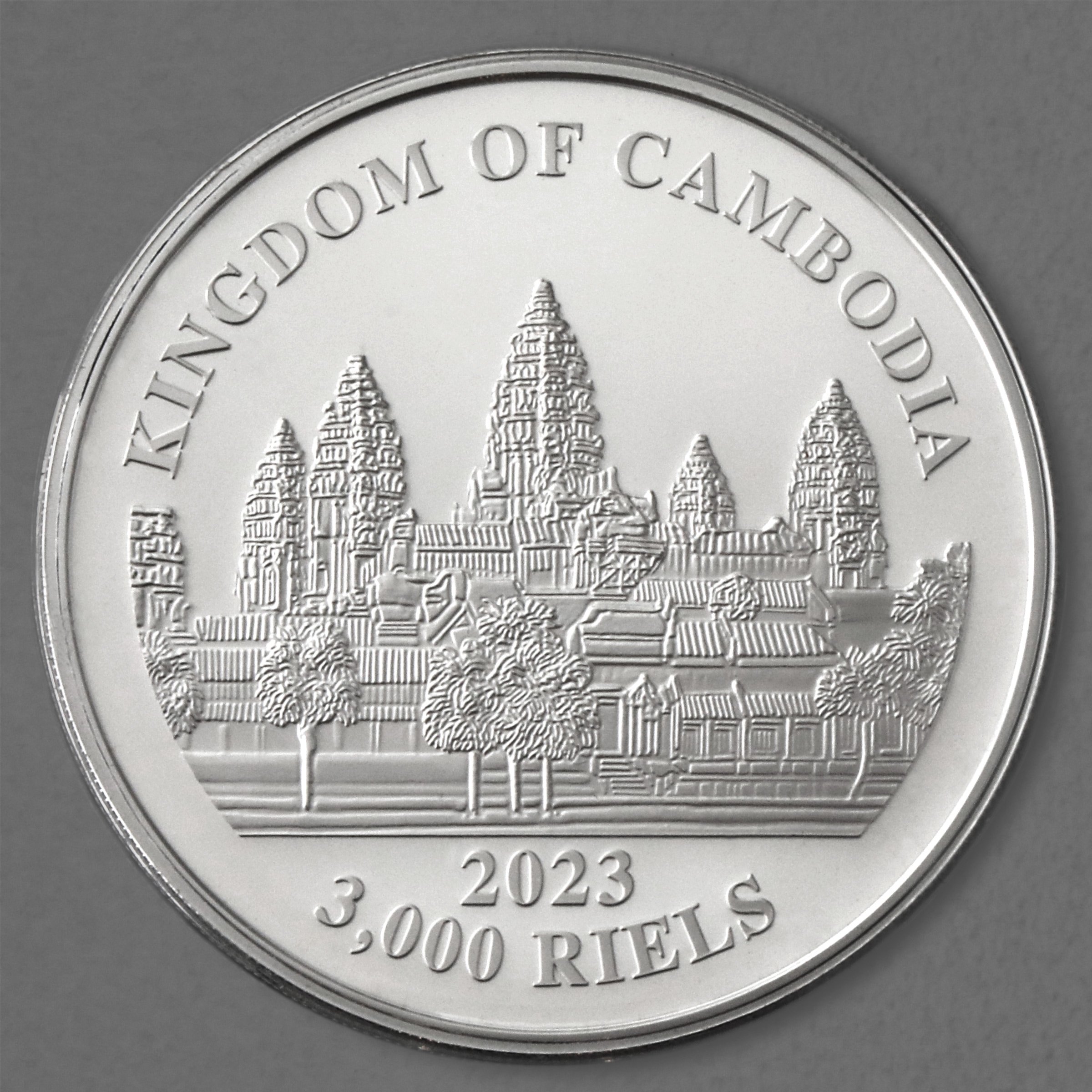 Silbermünze 1oz "Lost Tigers of Cambodia" 2023 diff. (Kambodscha) - Detailansicht 1