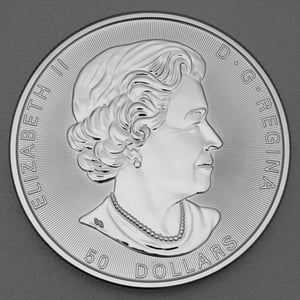 Silbermünze 10oz "Tree of Life" 2017 (Kanada) - Miniaturansicht 2