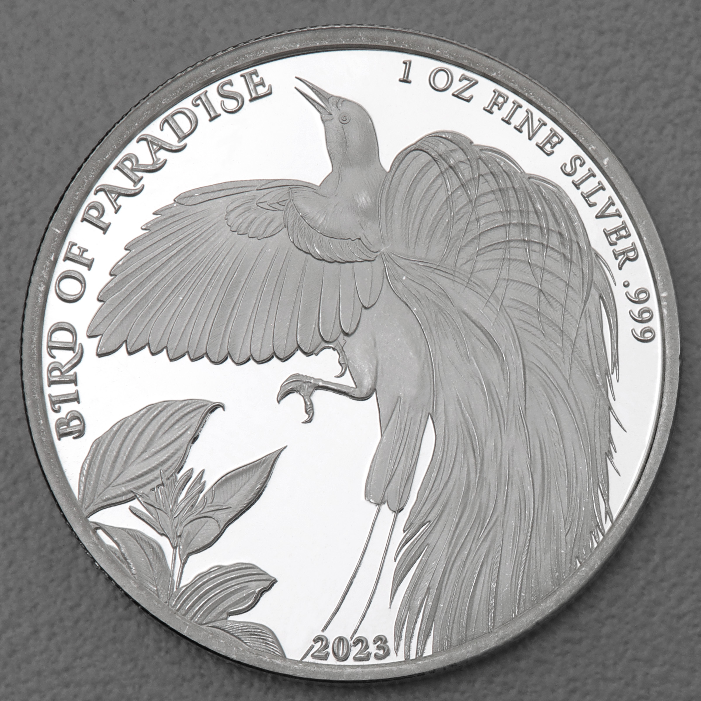 Silbermünze 1oz "Bird of Paradise" 2023 diff. (Papua-Neuguinea) - Hauptansicht