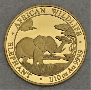 Goldmünze 1/10oz "Elefant" 2019 African Wildlife (Somalia) - Hauptansicht
