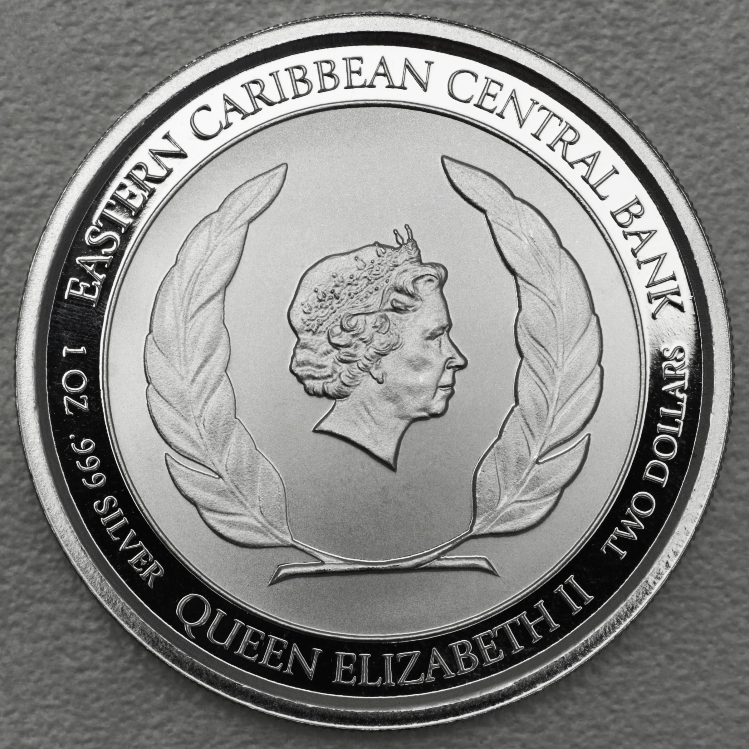 Silbermünze 1oz "Nature Isle" 2019 Eastern Caribbean 8 (Dominica) - Detailansicht 1