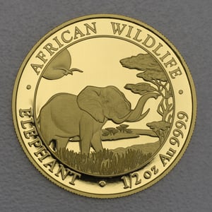 Goldmünze 1/2oz "Elefant" 2019 African Wildlife (Somalia) - Hauptansicht