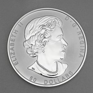 Silbermünze 10oz "Maple Leaf" 2021 Magnificent (Kanada) - Miniaturansicht 2