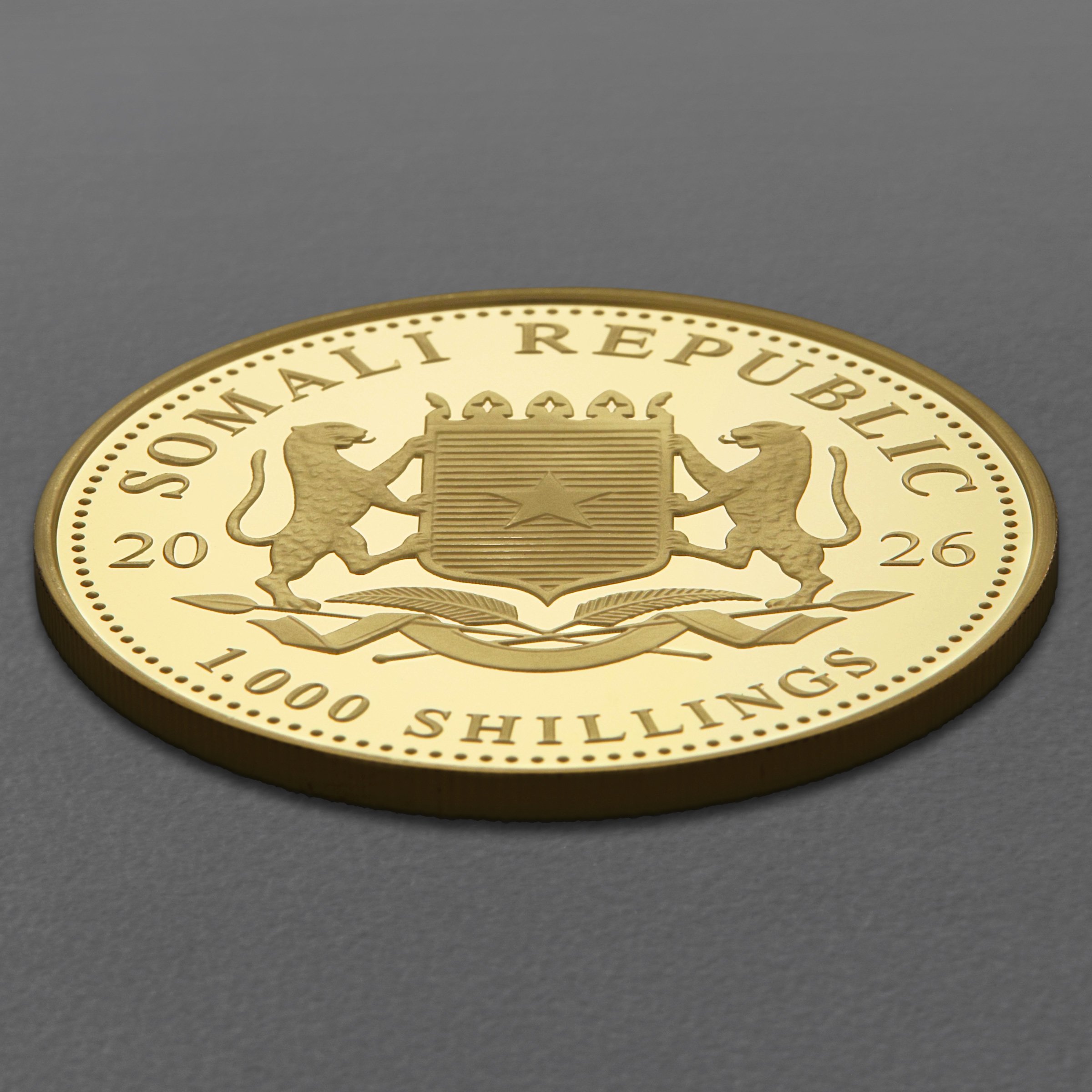 Goldmünze 1oz "Elefant" 2026 African Wildlife (Somalia) - Detailansicht 3