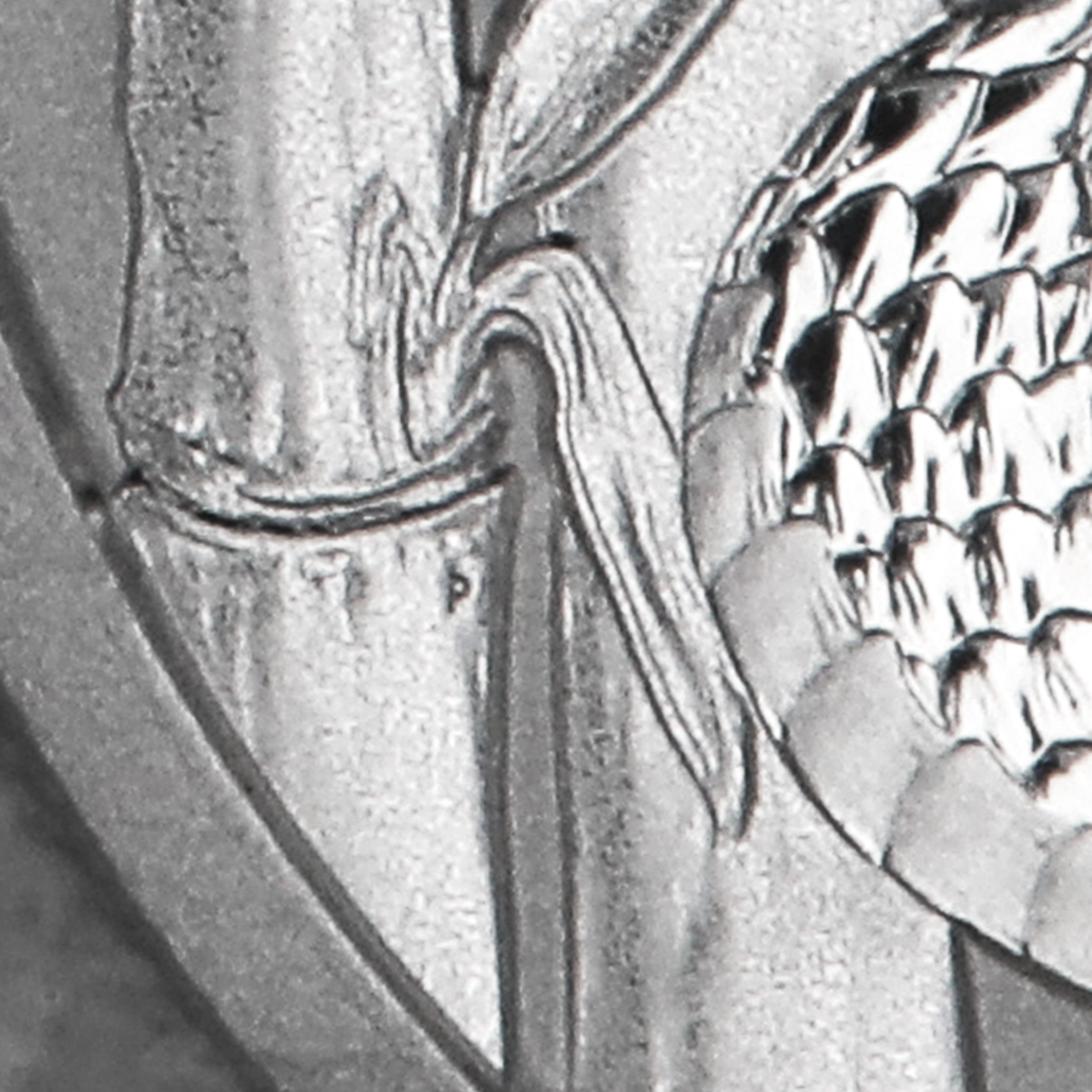 Platinmünze 1oz "Schlange" 2025 Lunar III – Year of the Snake 19% (Australien) - Detailansicht 4